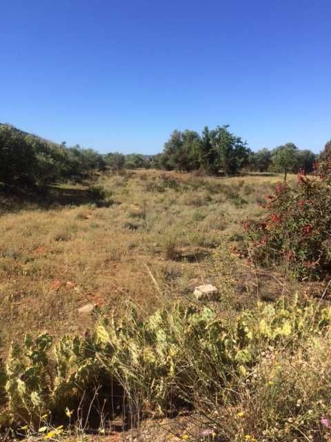 Terreno rustico para venda - A22 - Via Infante