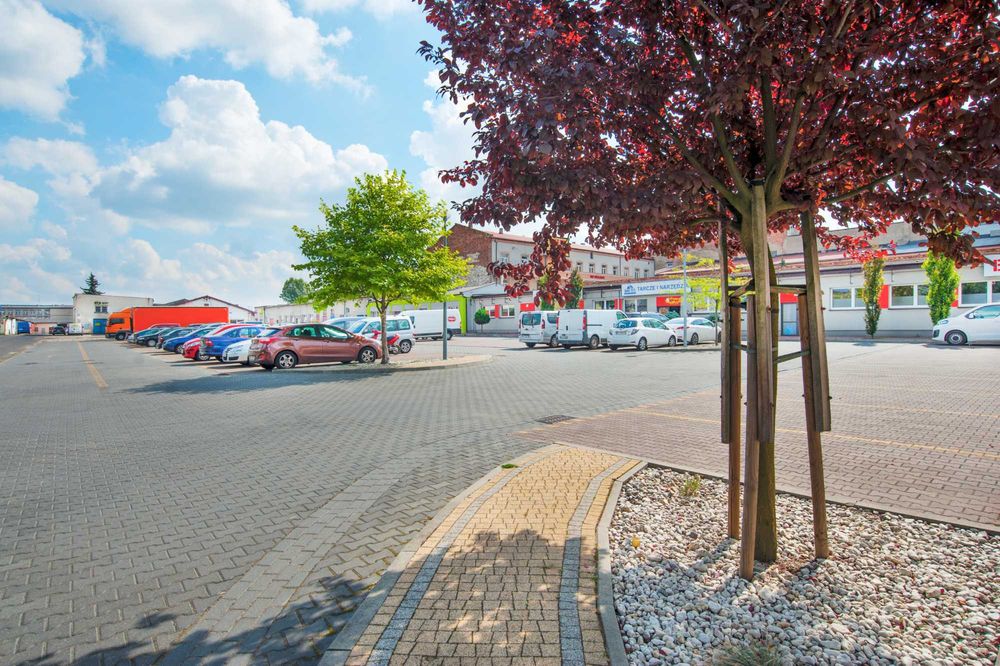 Lokal biurowo usługowy 167 m2