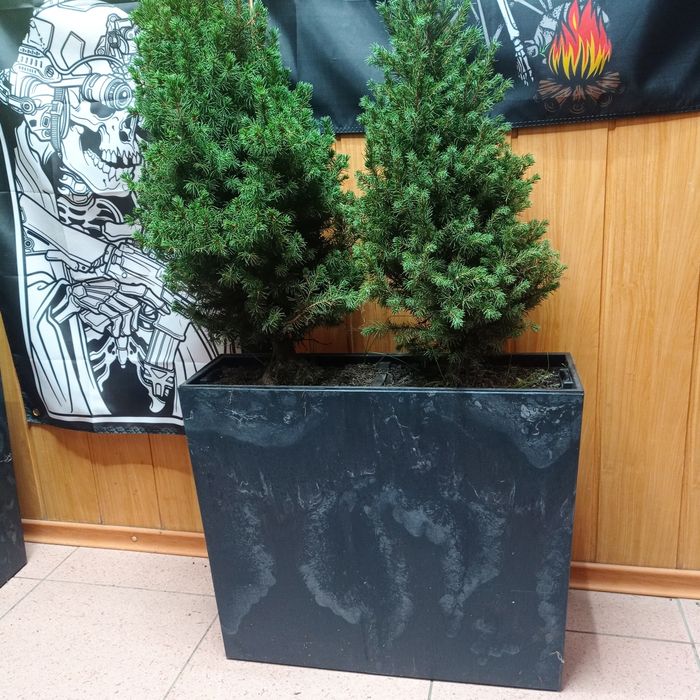 Кашпо для квітів