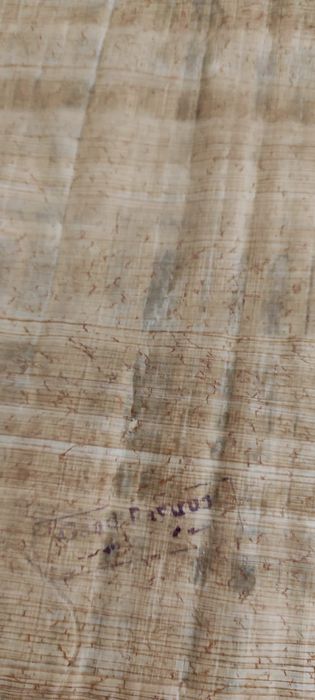 Papiro autenticado64737887052033121