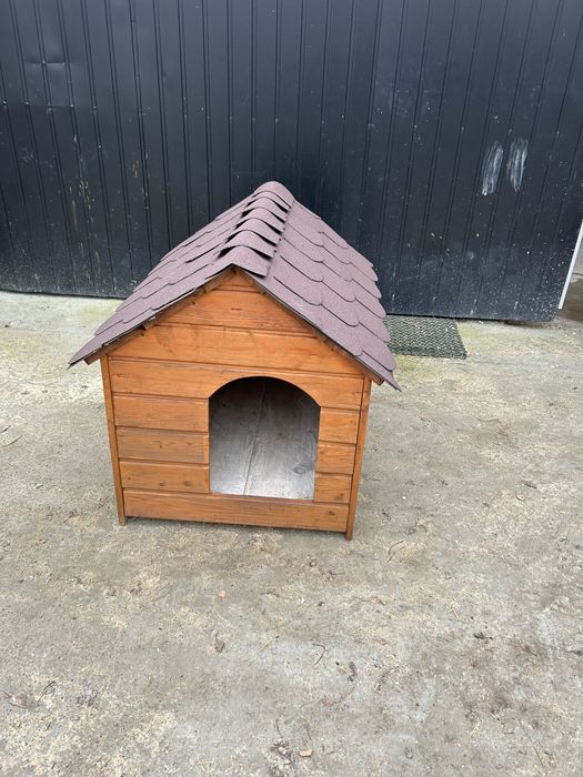 Buda     dla    psa.