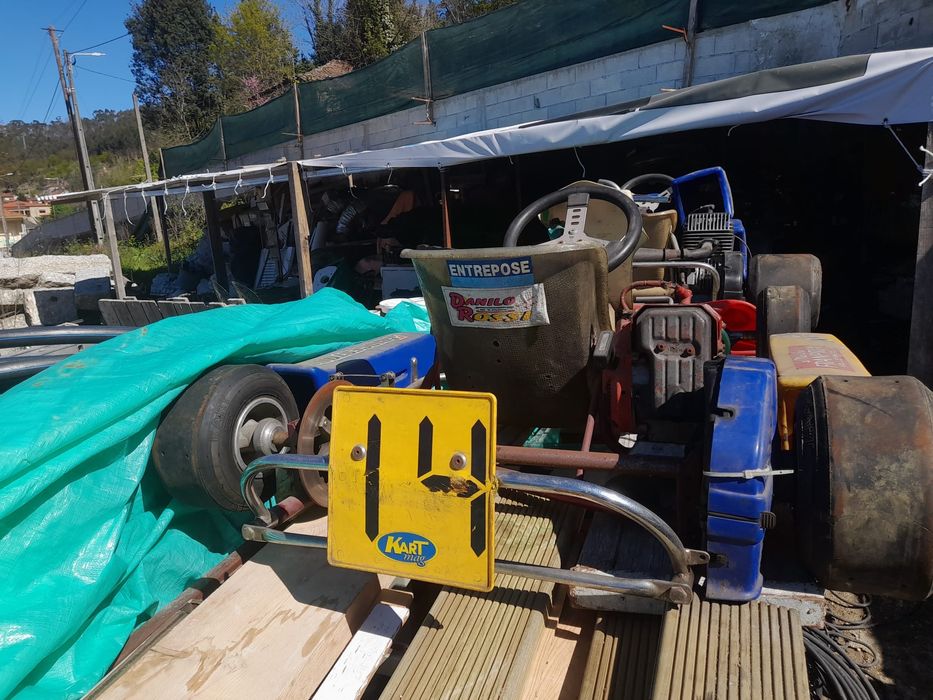 Karting adulto e um para criança