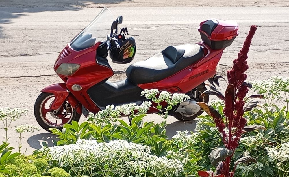 Вайпер Торнадо 250