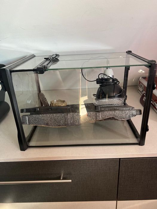 Akwarium dla rybek, gadów z asortymentem