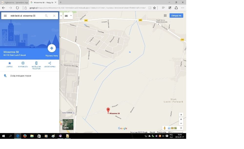 tuja, tuje szmaragd ok 70cm