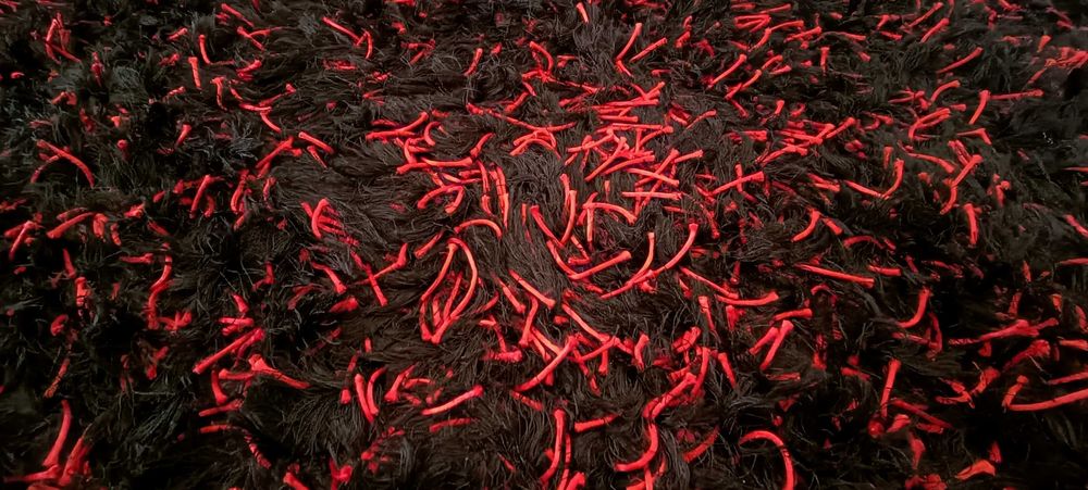 Tapete / Carpete Paris preto/vermelho 200x300cm