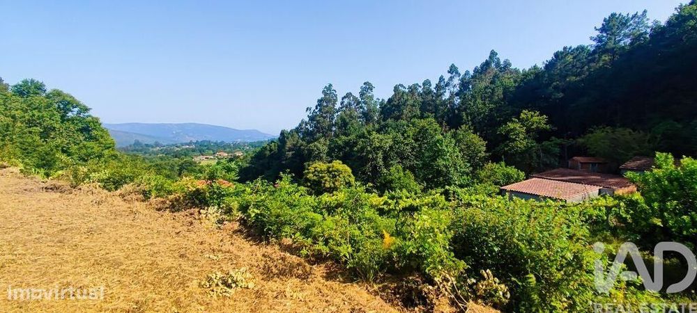 Terreno em Romarigães