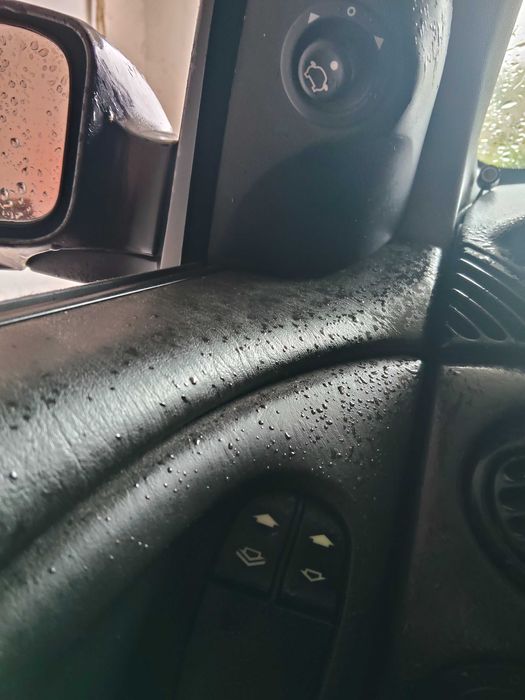 Tania Foczka na dojazdy do pracy