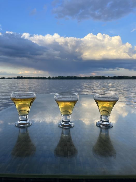 Будинок на березі Дніпра, лазня, баня на дровах, 5 кімнатний, подобово