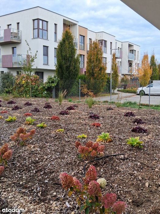 Mieszkanie na sprzedaż – Wolsztyn, ul. Klonowa 3C (Karpicko)