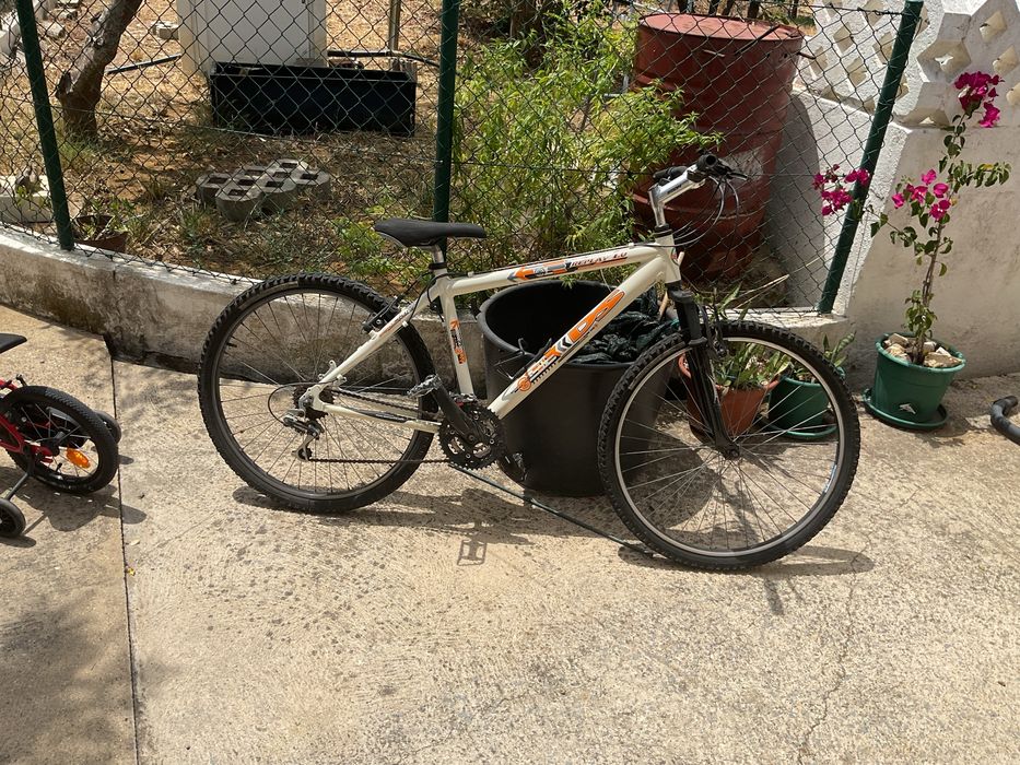 Bicicleta ds Branca