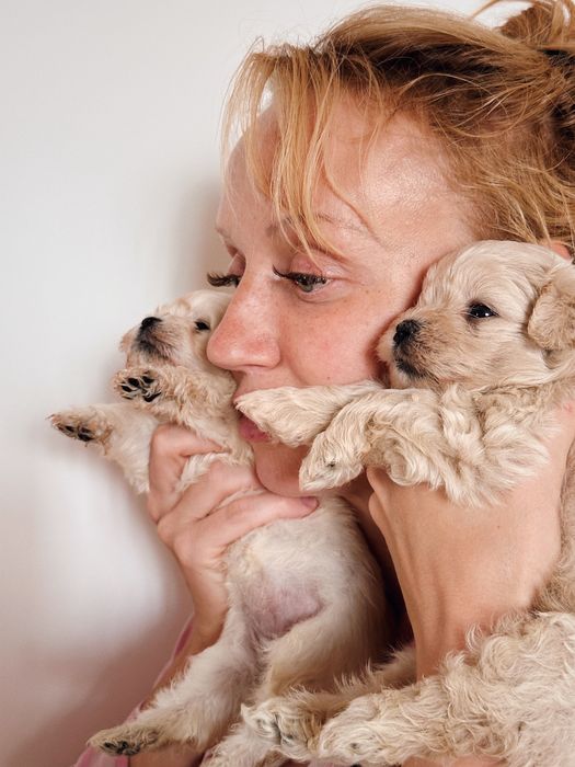 Мальтезе та Мальтіпу