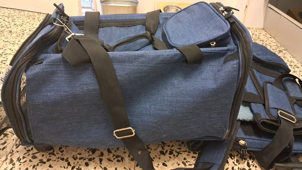 Cama/transporte gatos ou cães pequenos