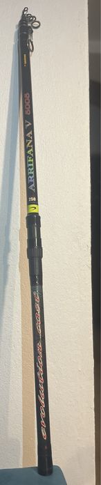 Cana Barros Arrifana 5mt