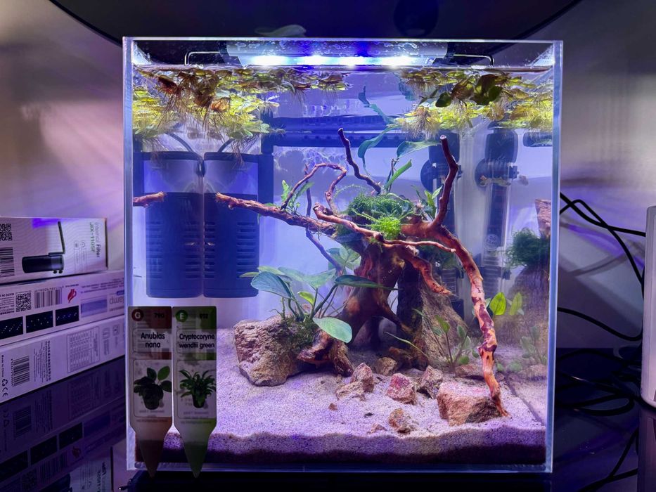 Aquário Nano – Ideal para Betta