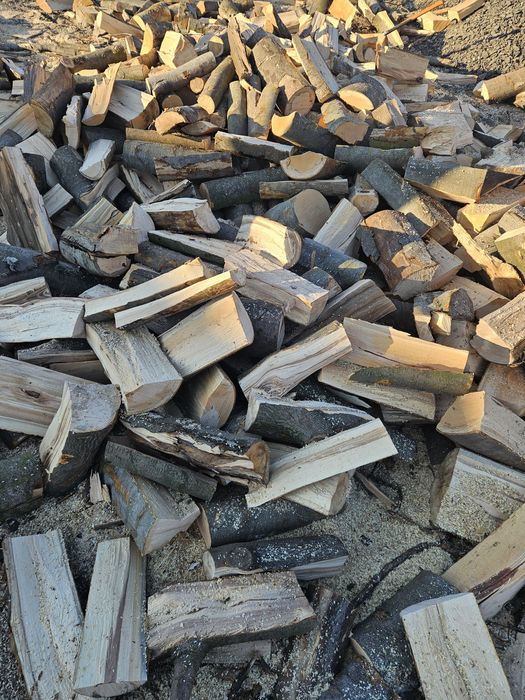 Drewno kominkowe