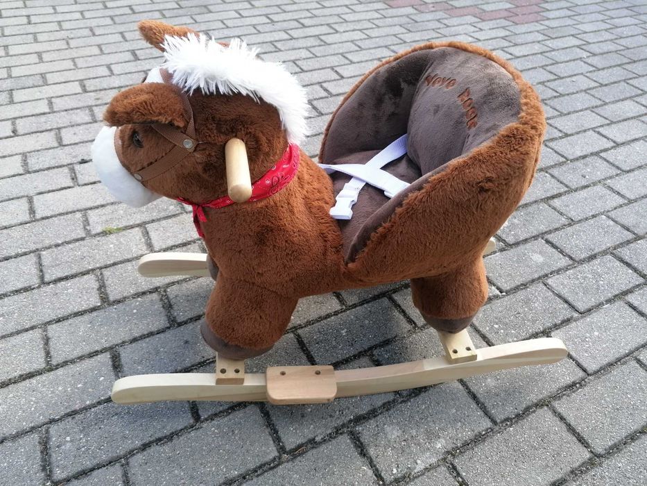Koń na biegunach