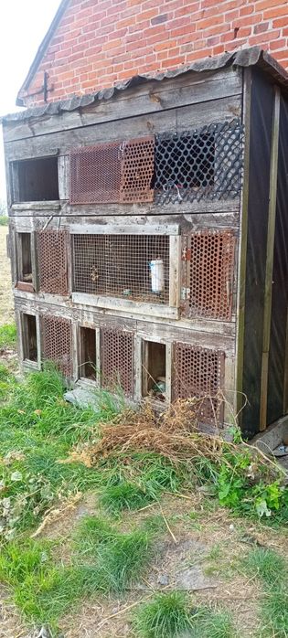 Klatka dla królików, gołębi ,ptactwa solidna duża tanio