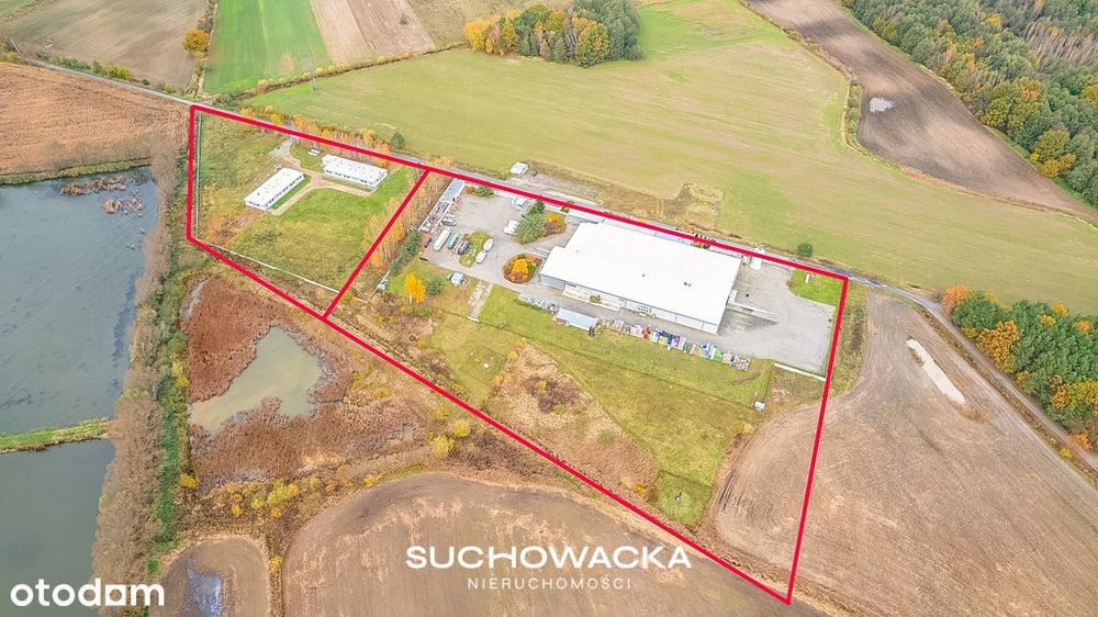 Zakład produkcyjny | 5 300 m² | 5,28 ha | 8 km DE