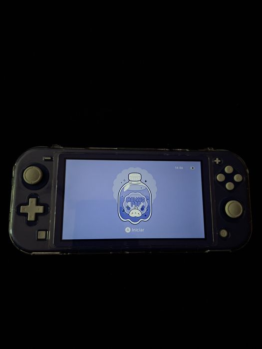Nintendo switch lite