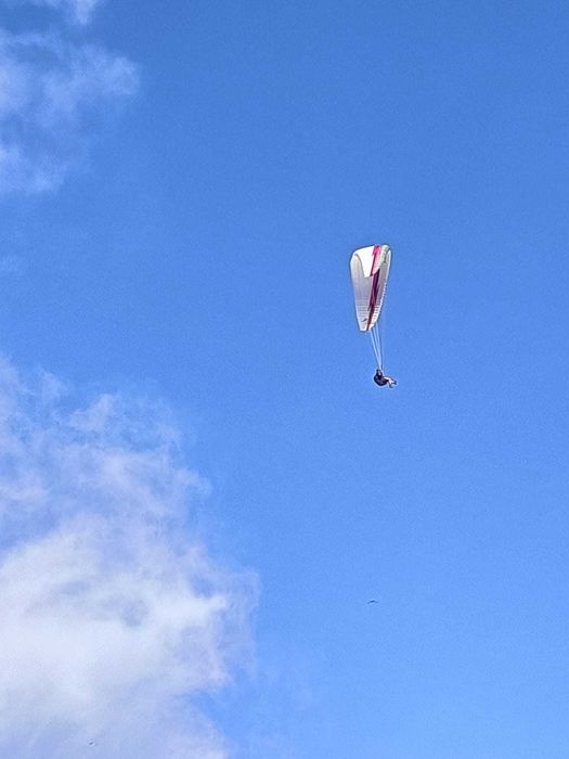 Parapente - Asa Astral 6 da Swing, size: M