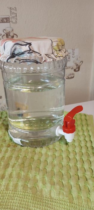 Пластикова банка з краником для комбучі, 2 літри. Чайний гриб у ПОДАРУНОК!!