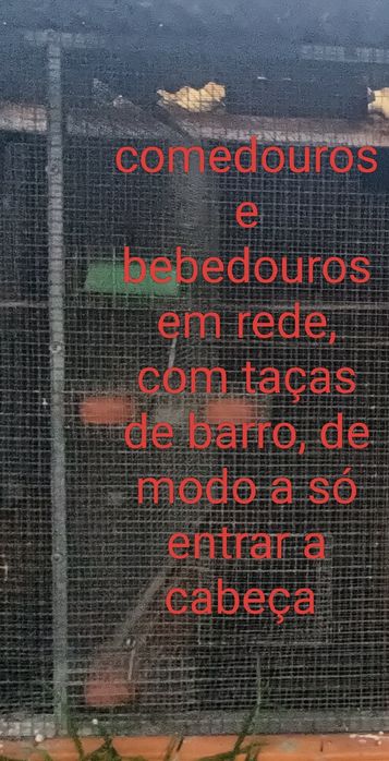 Viveiros Grandes em Tubo Galvanizado com Rede Dupla (6 e 8 Divisões)