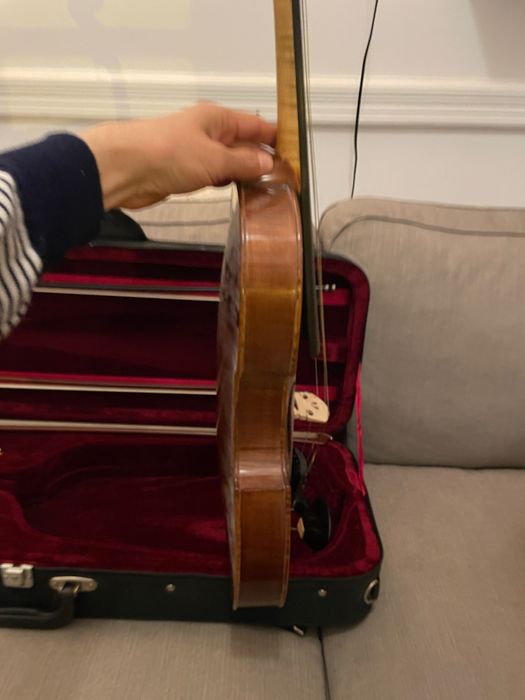 Excelente Viola Moderno 16”