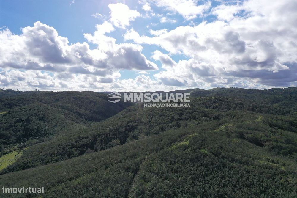 Herdade  Venda em Santana da Serra,Ourique