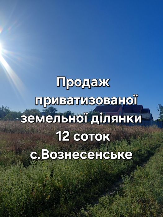 Приватизована земельна ділянка 12 соток. с.Вознесенське
