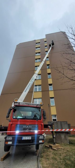 Wycinka drzew cięcie tui pielegnacja usuwanie korzeni
