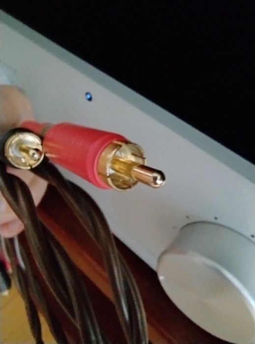 Interkonekt RCA stereo PSB Basic Gold PB o długości 65cm. (Cinch) x2