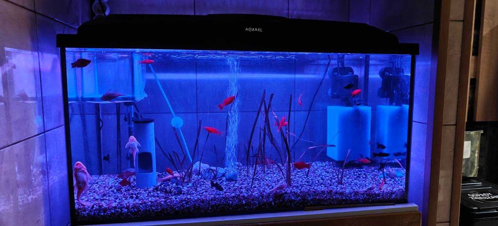 Akwarium 112L i 25L