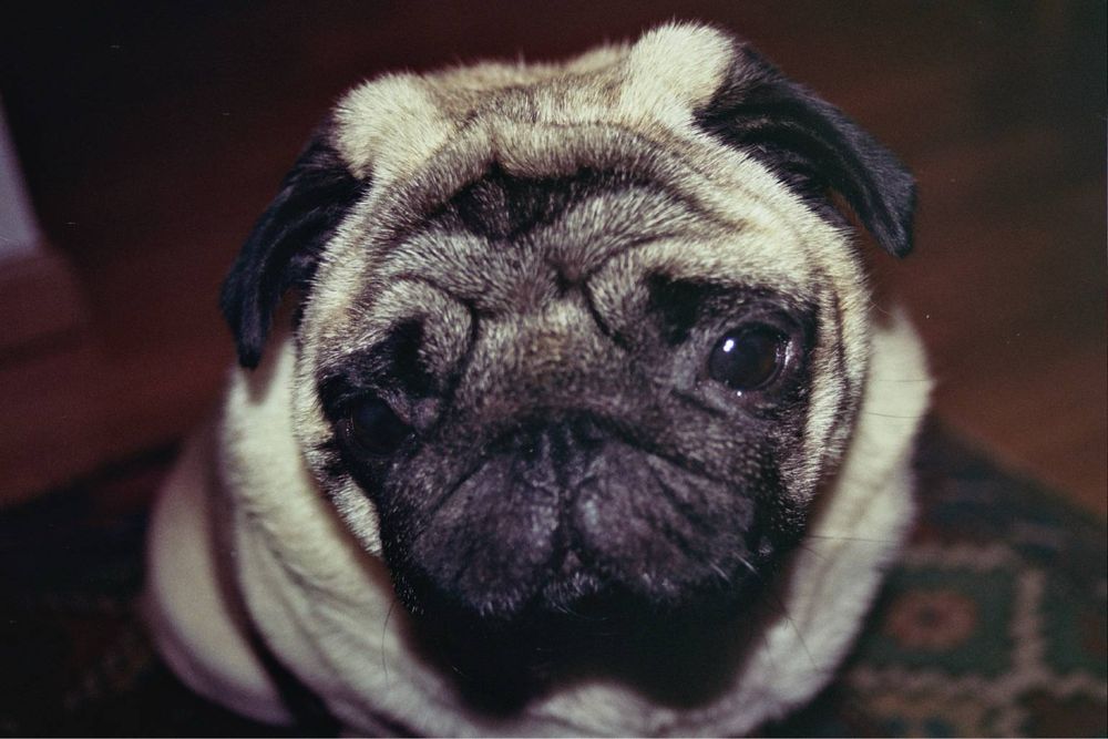 Плівкова камера Minolta Dynax 404si