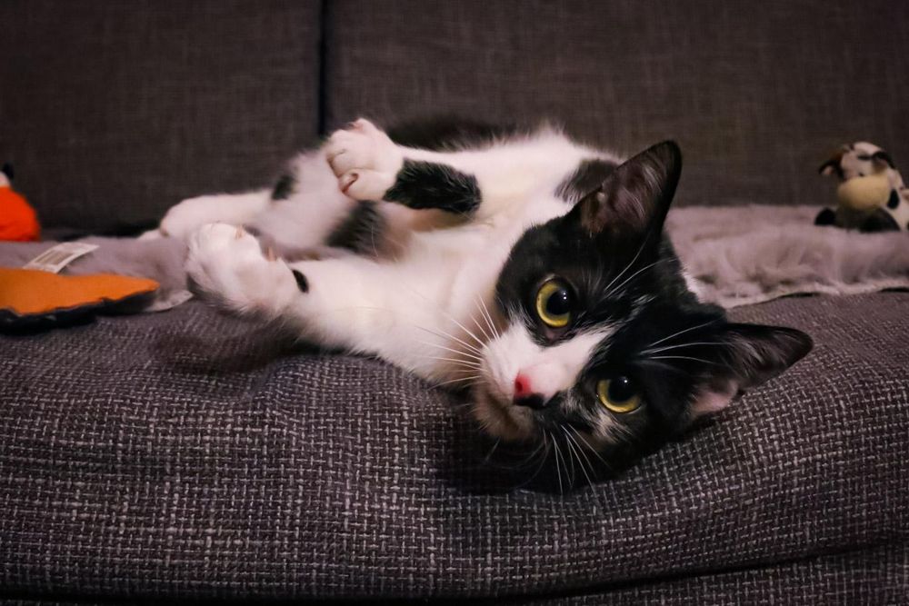 Czy ktoś mnie pokocha?