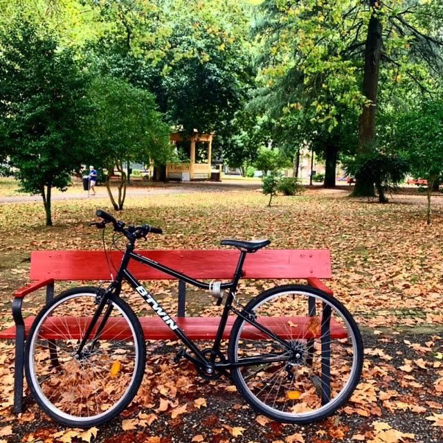Aluguer de bicicletas / Bike Rental