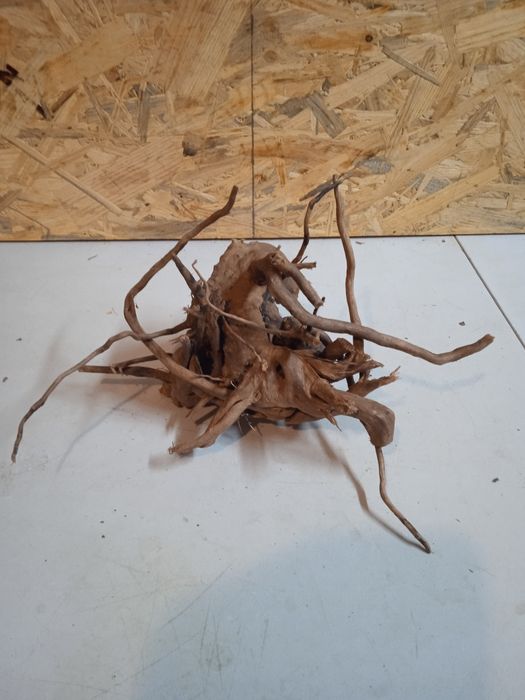 Korzeń do akwarium Red Moore Wood nr 69 o wymiarach 25/20/15