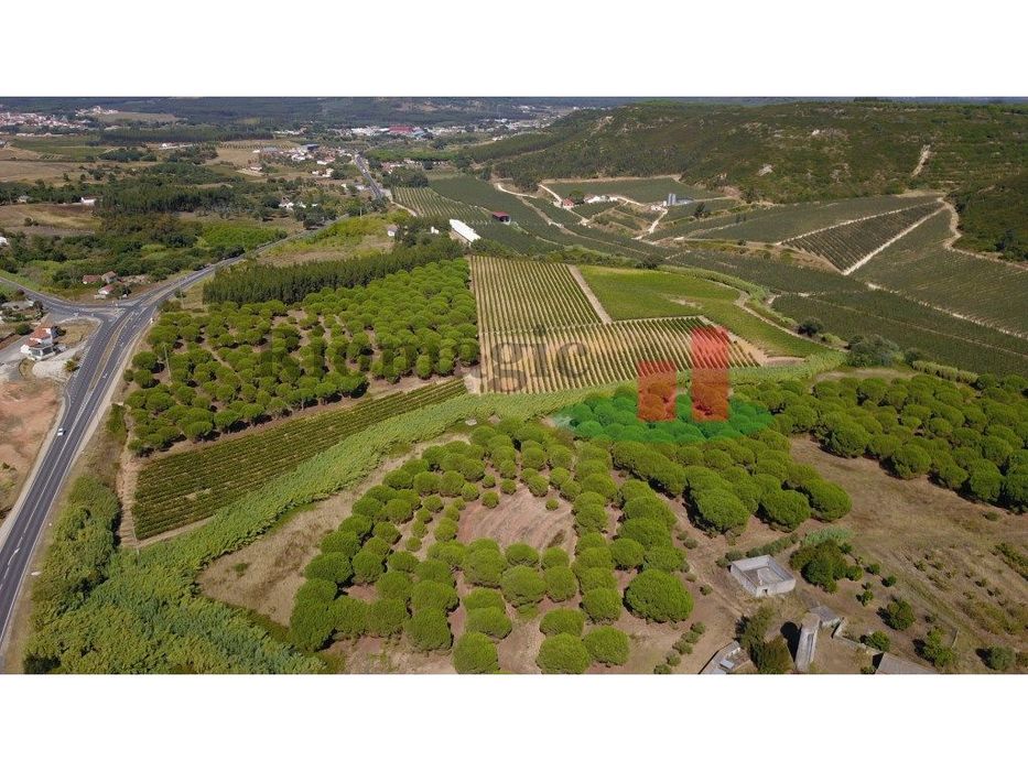 Quinta 20ha - parte Rústica junto à Serra do Montejunto***RIOMAGIC***