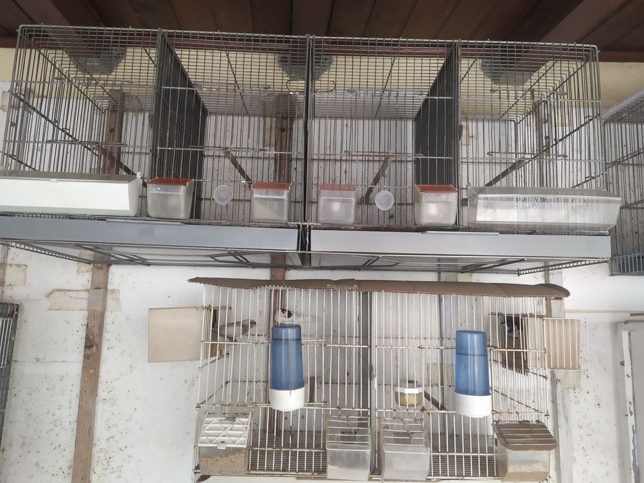 Gaiolas para pássaros