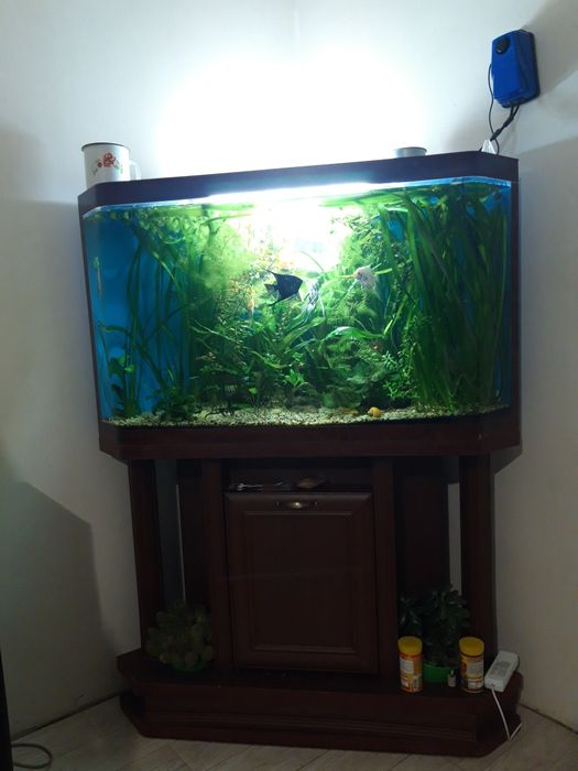 Продам акваріум 450л з тумбою усіма приладами ,та декорами.