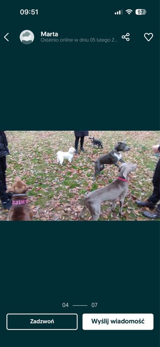 Domowa opieka dla piesków. Hotel