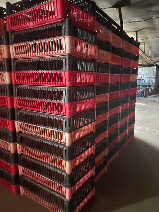 klatka klatki skrzynka do transportu drobiu , ptaków