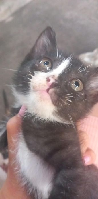 A paixão pelo preto