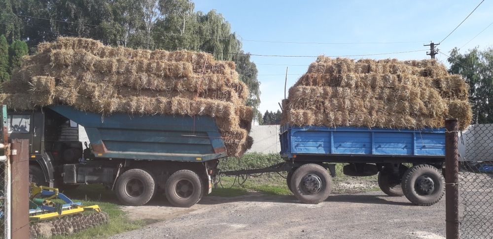 Тюки соломи  пшеничної ячміної декорації