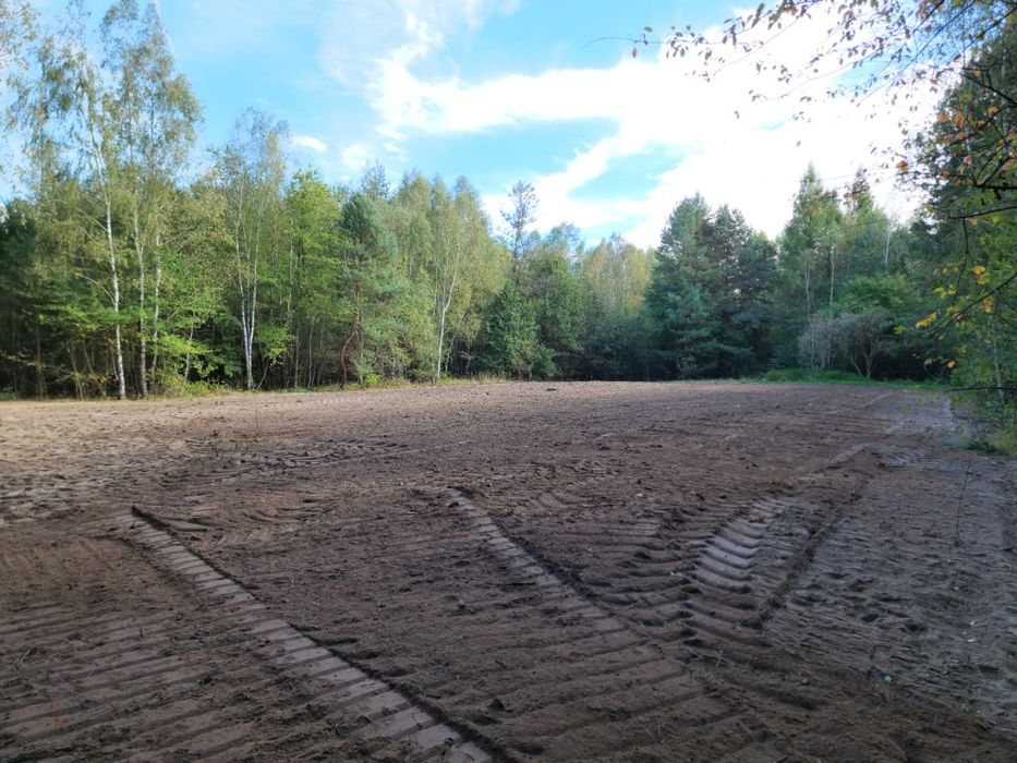 Mulczowanie Wycinka drzew Frezowanie Karczowanie Mulczer Leśny Wgłębny
