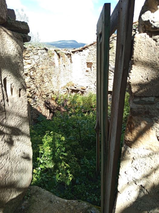 Vendo uma ruína em mós de Moncorvo