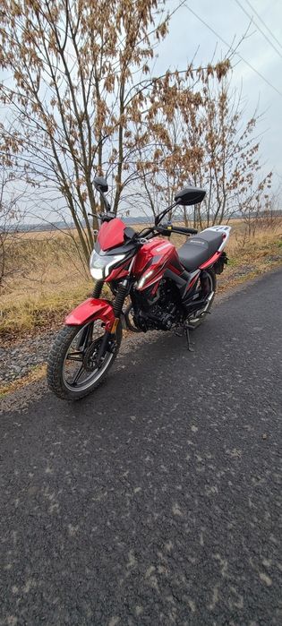 Продаю Mustang region (fortuna) 200