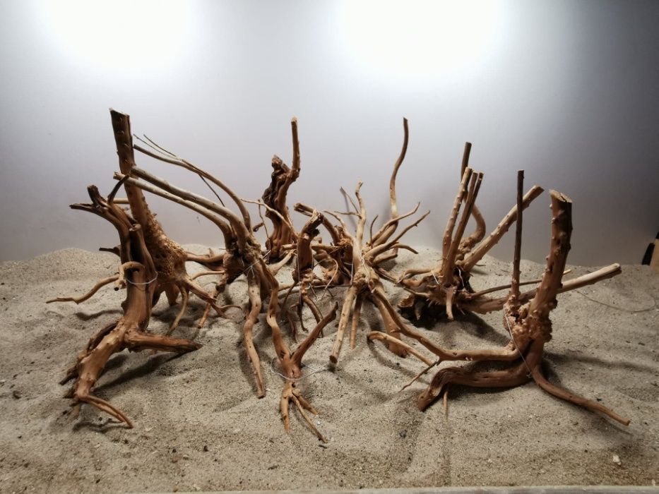 Korzenie Red Moor Root Nano 100g, korzenie do akwarium, Turkusowe Zoo