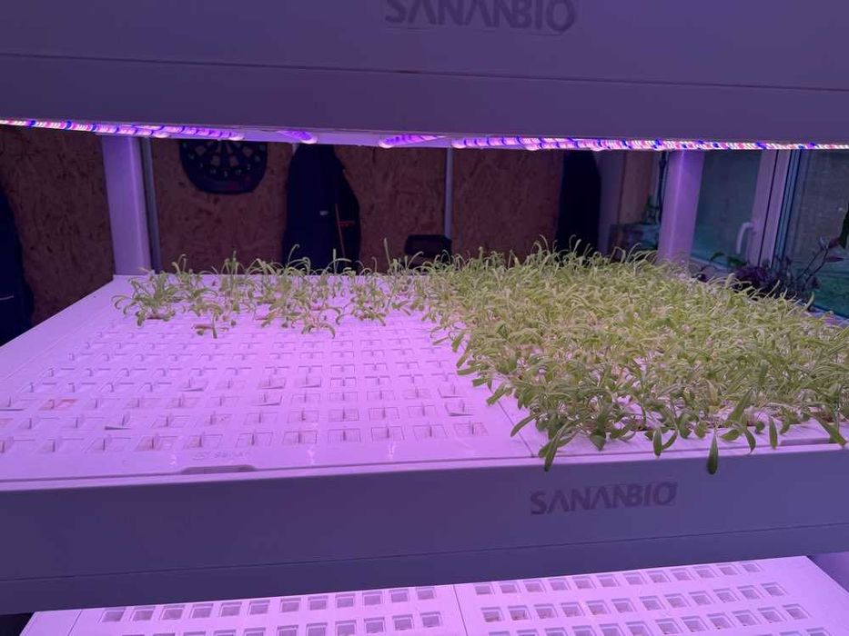 Szafa hydroponiczna do upraw wertykalnych SANANBIO RADIX Vertical Hydroponic Module 4-warstwowa led farm