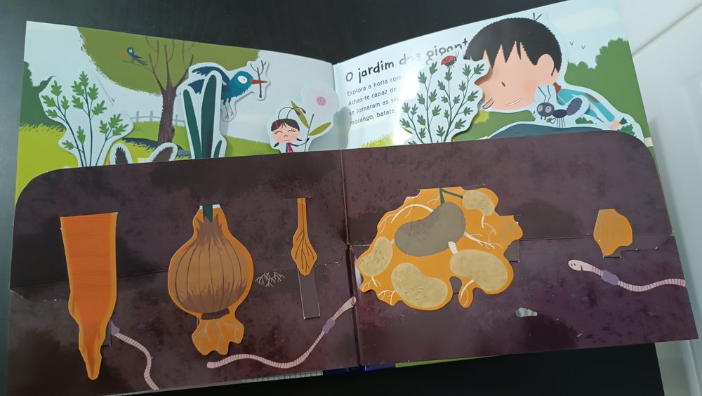 Pequenos Cientistas. Experiências com as plantas